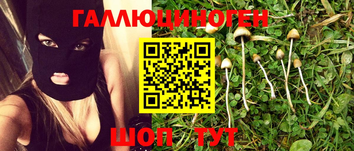 Псилоцибиновые грибы MAGIC MUSHROOMS  Вход с VPN  Хасавюрт 